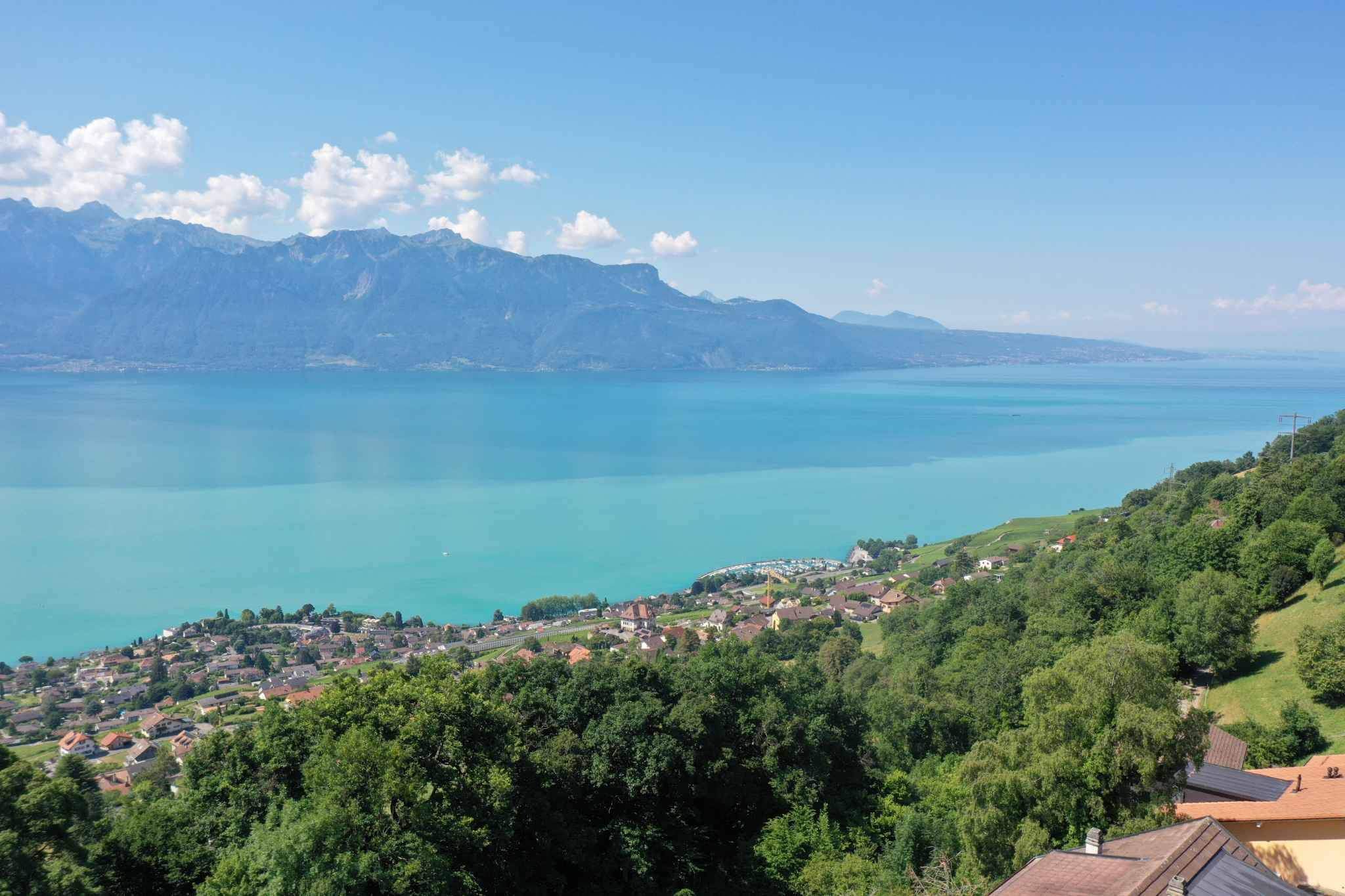 Chardonne  - House 4 Bedrooms - picture 17