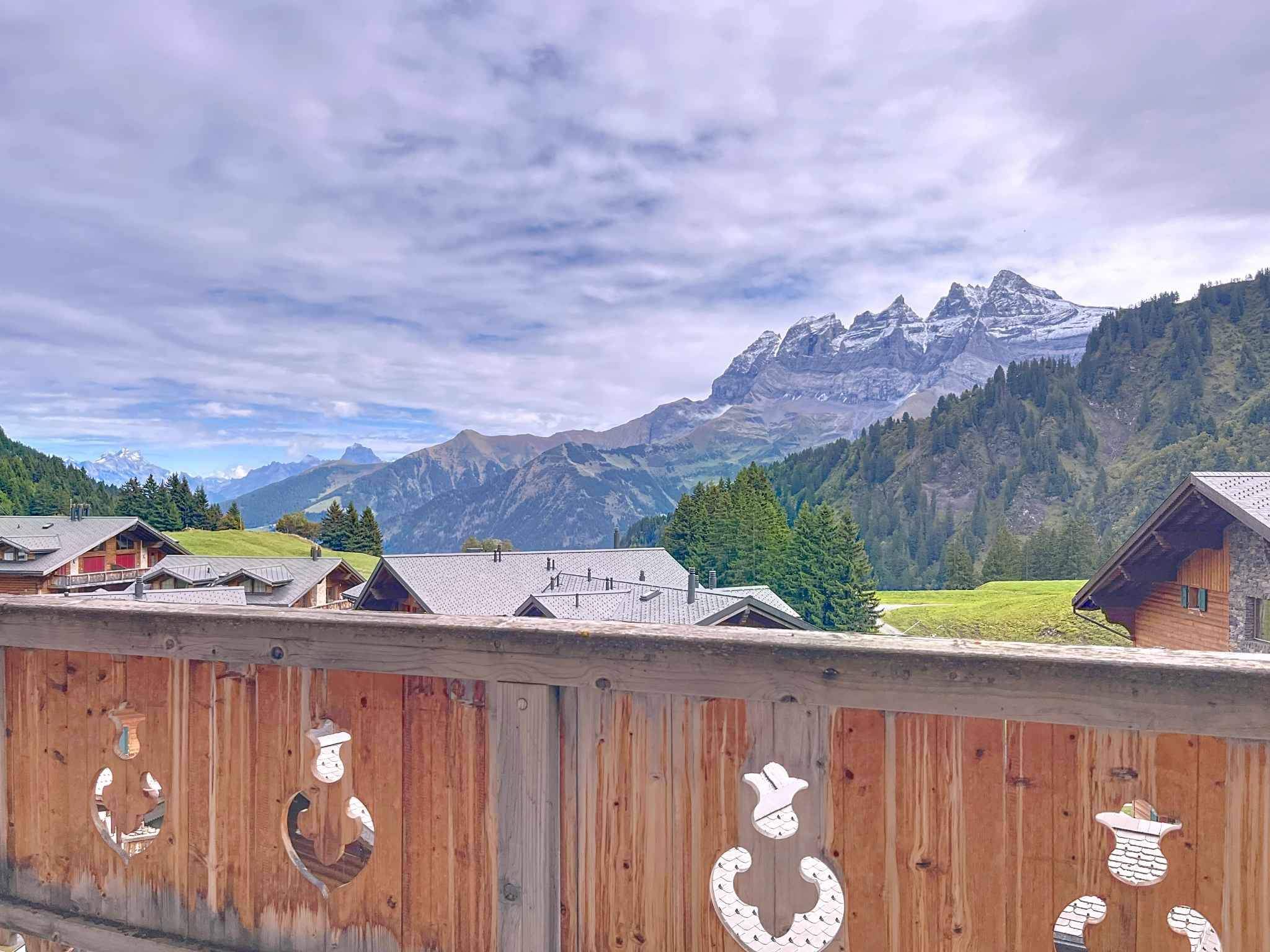 Les Crosets  - Apartment 2 Bedrooms - picture 10