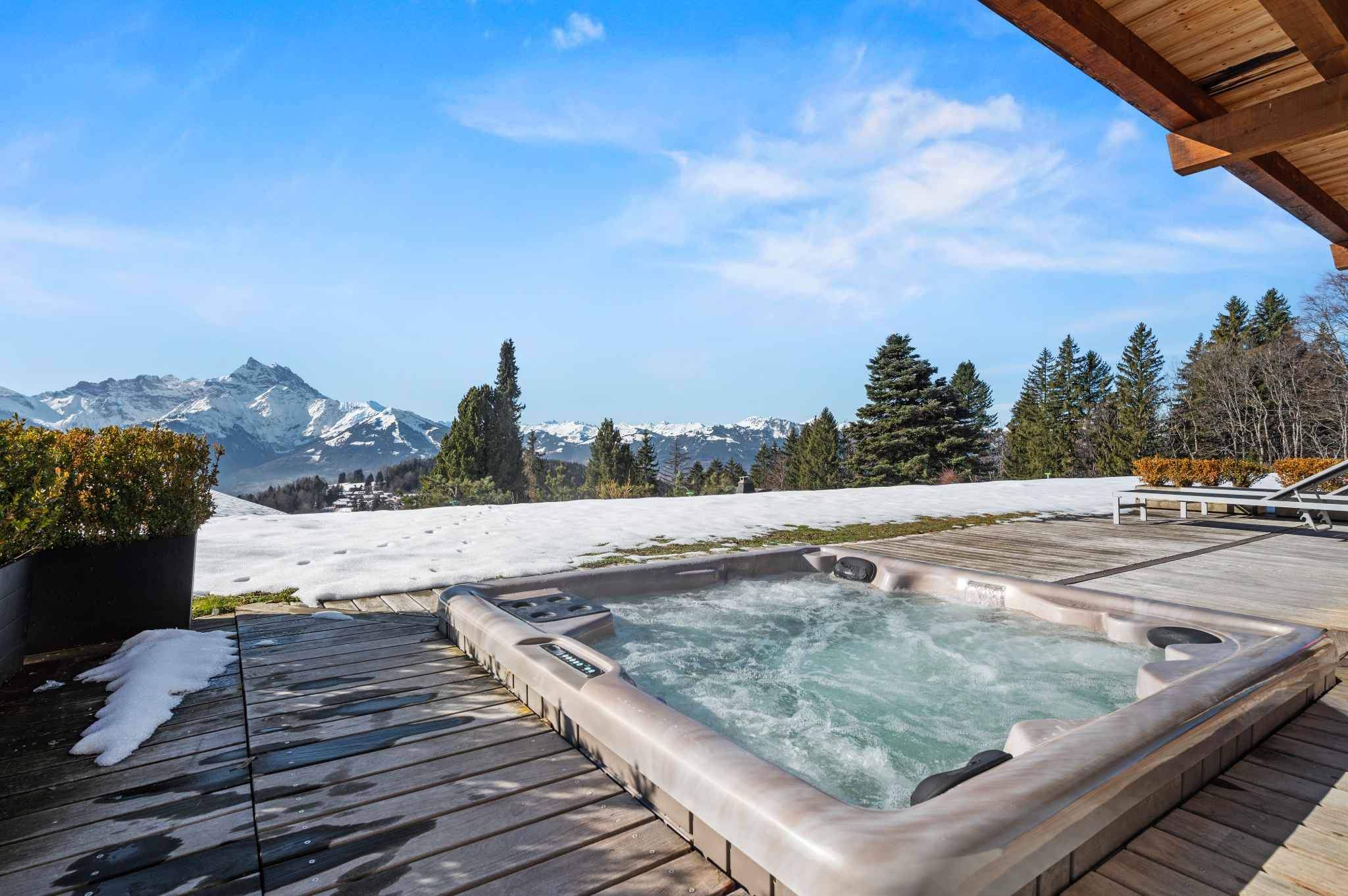 Gryon  - Chalet 6 Bedrooms - picture 3