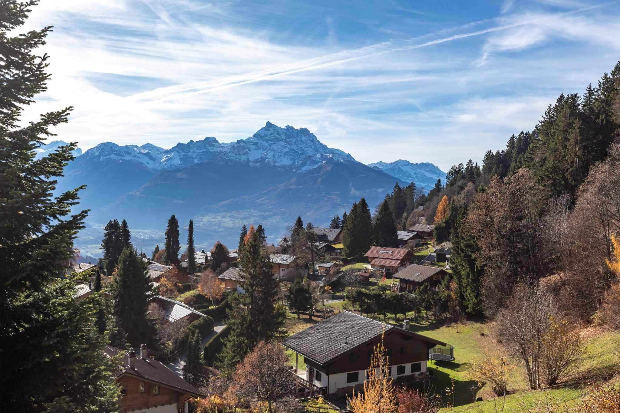 Chesières   - Chalet 4 Bedrooms - picture 3