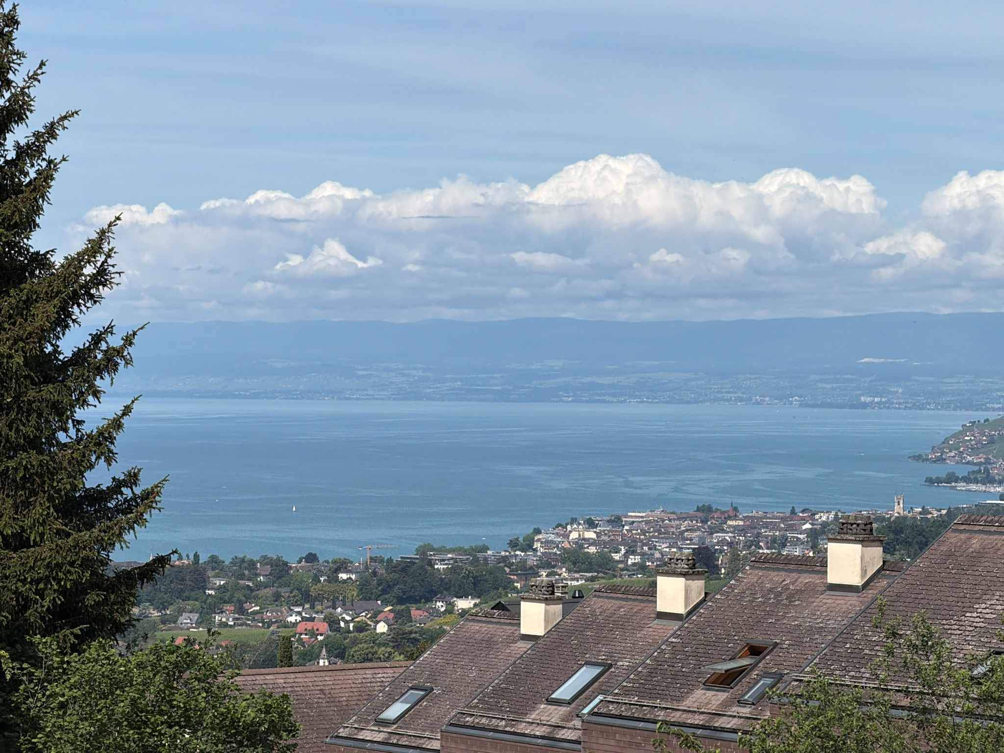 Montreux  - Maison 6.5 Pi&egrave;ces 5 Chambres - picture 4
