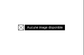 Tolochenaz  - Maison 5.5 Pi&egrave;ces 4 Chambres