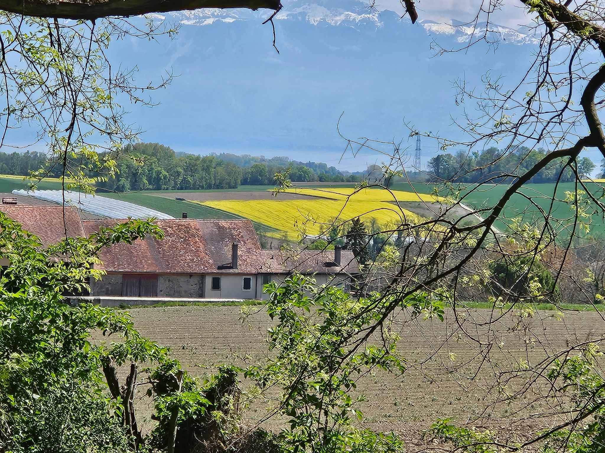 Vullierens  - House 4 Bedrooms - picture 7