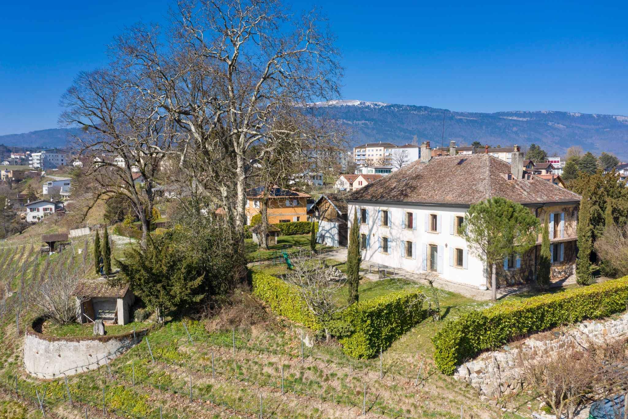 Orbe  - House 8 Bedrooms - picture 12