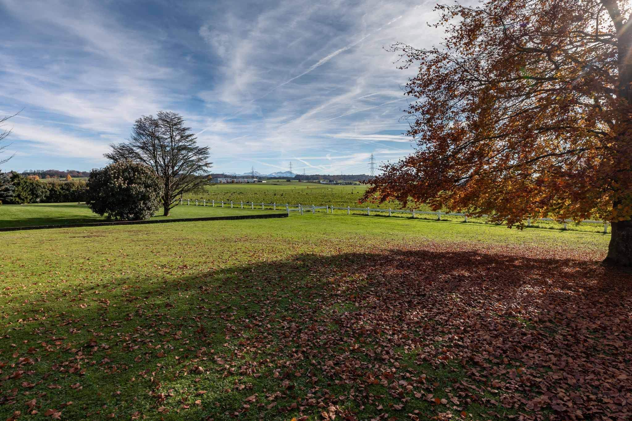 Echallens  - House 4 Bedrooms - picture 20