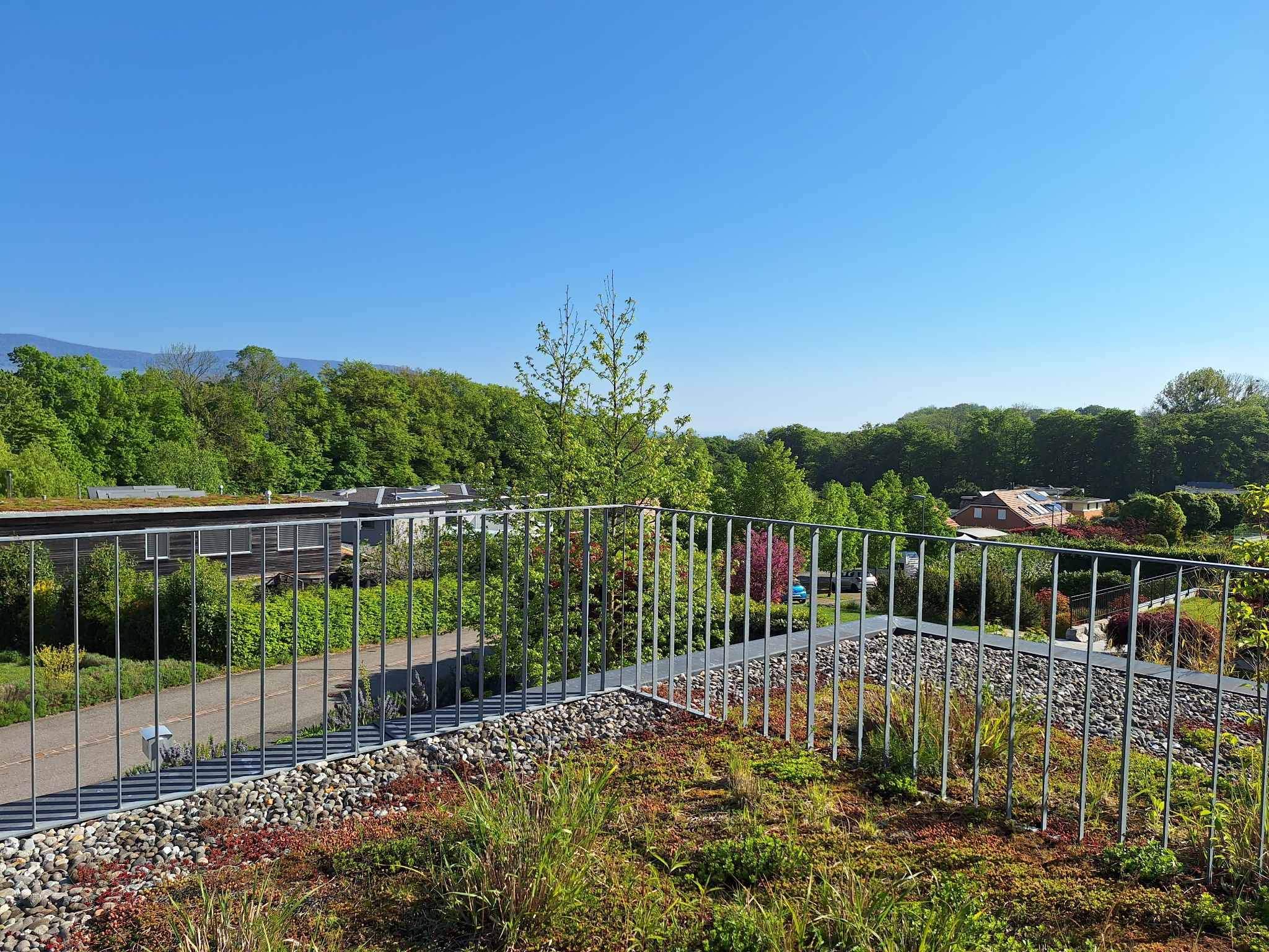 Cheseaux-Noréaz  - Maison 6.5 Pi&egrave;ces 5 Chambres - picture 14