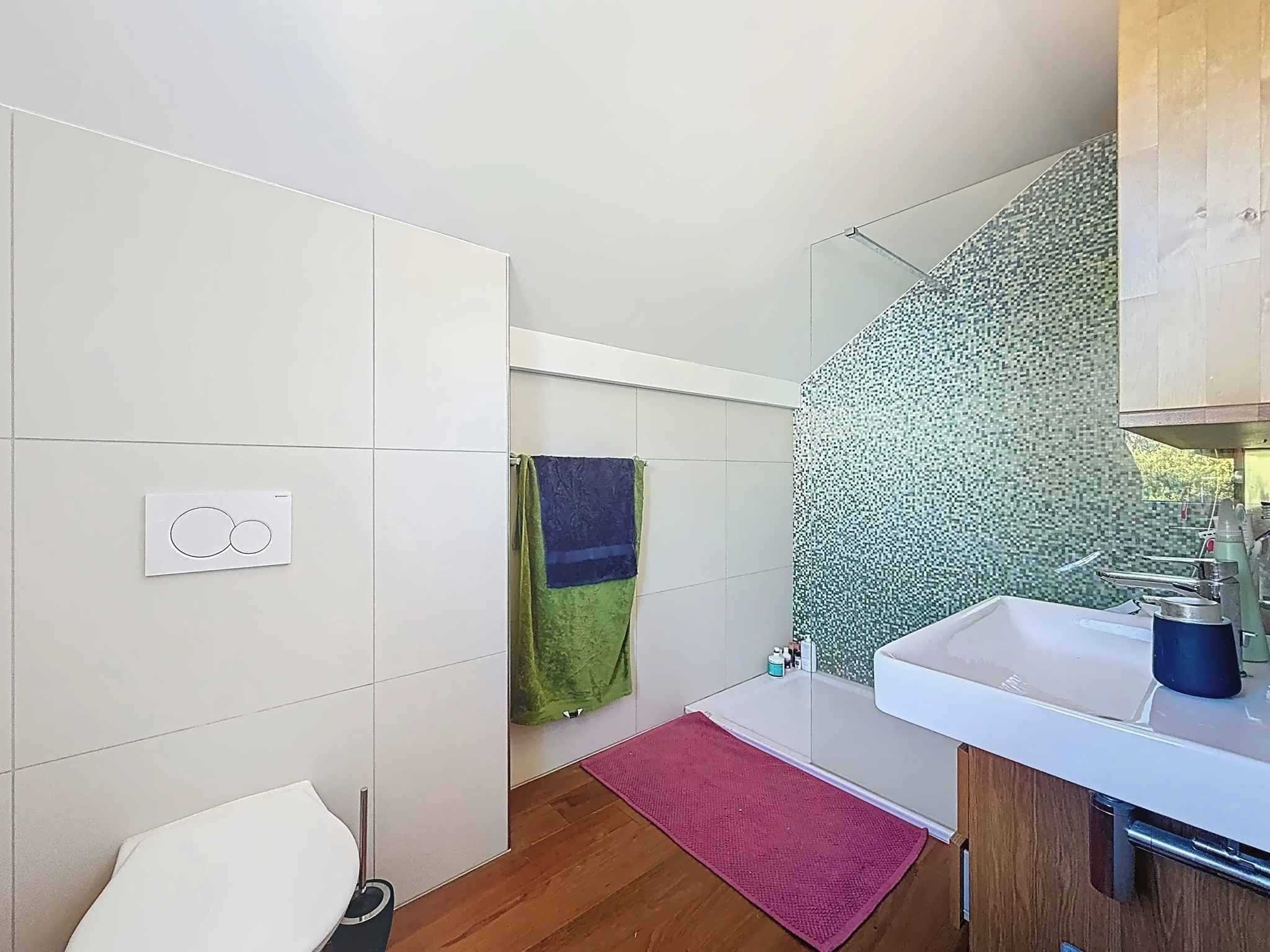 Nyon  - House 4 Bedrooms