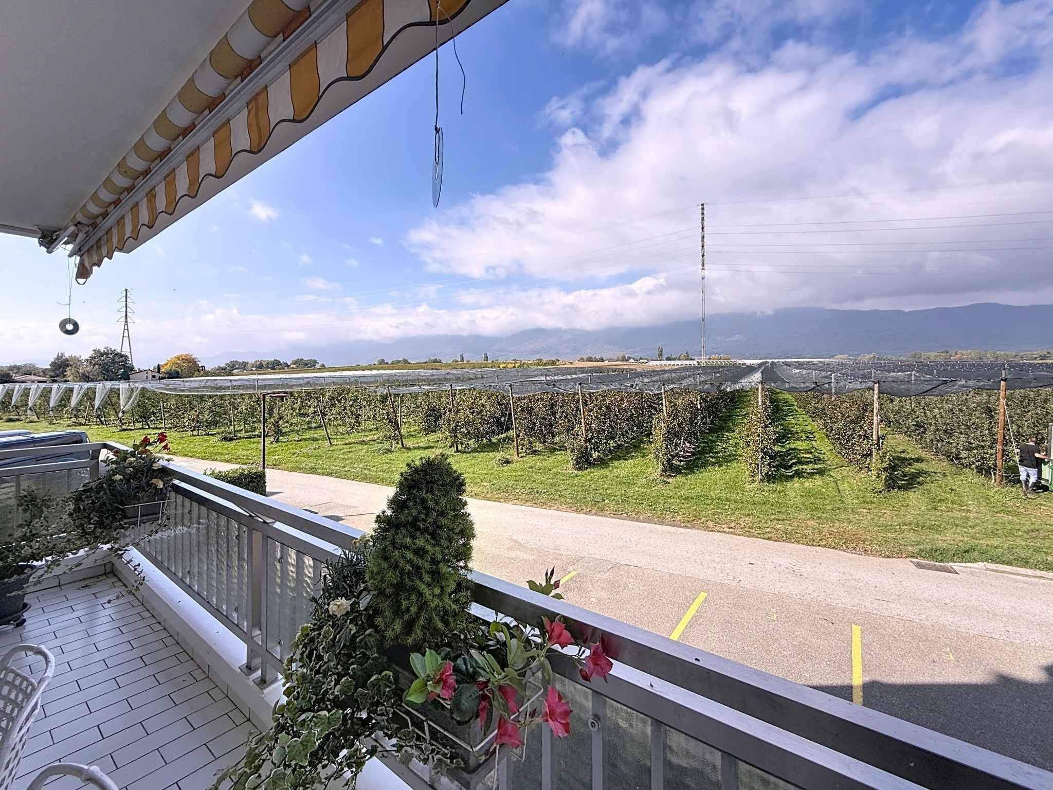 Signy  - Apartment 3 Bedrooms - picture 10