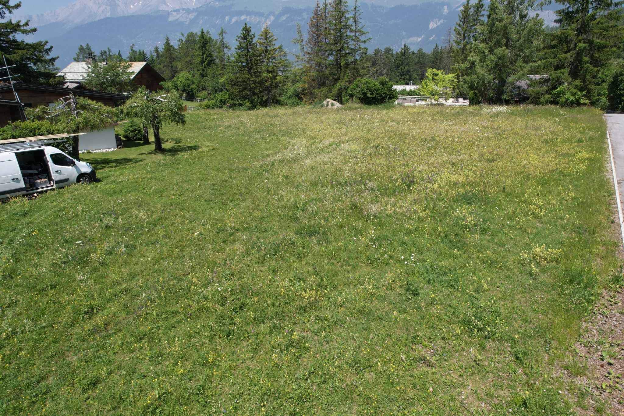 Lens  - Plots  - picture 4